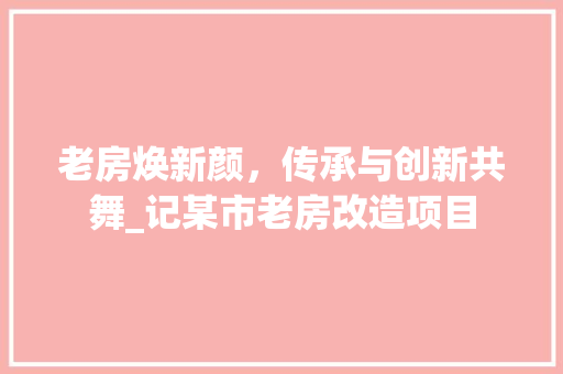 老房焕新颜，传承与创新共舞_记某市老房改造项目 厨房维修