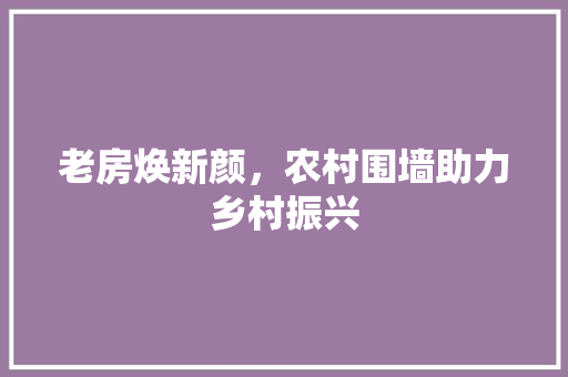 老房焕新颜，农村围墙助力乡村振兴 综合便民