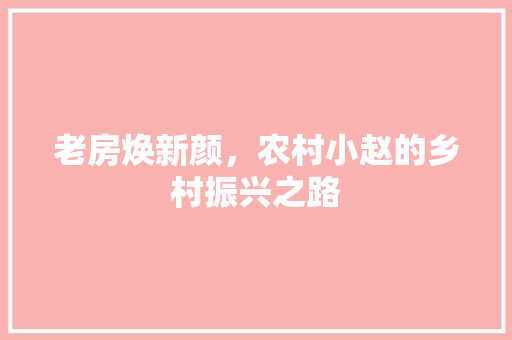 老房焕新颜，农村小赵的乡村振兴之路 家电维修