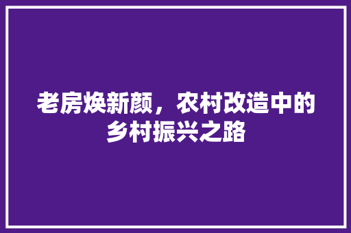老房焕新颜，农村改造中的乡村振兴之路