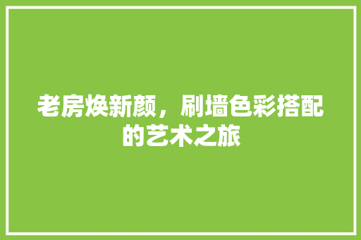 老房焕新颜，刷墙色彩搭配的艺术之旅 汽车维修