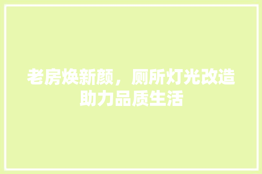 老房焕新颜，厕所灯光改造助力品质生活