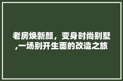 老房焕新颜，变身时尚别墅,一场别开生面的改造之旅
