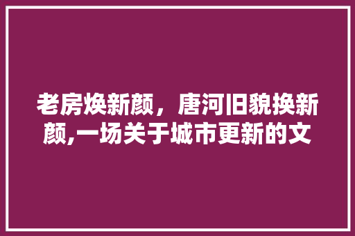 老房焕新颜，唐河旧貌换新颜,一场关于城市更新的文化之旅