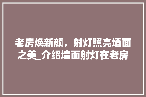 老房焕新颜，射灯照亮墙面之美_介绍墙面射灯在老房改造中的魅力 家电维修