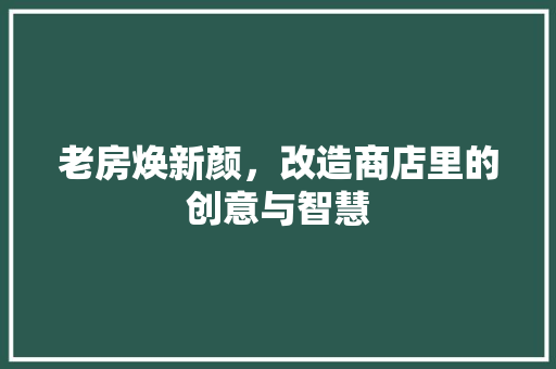 老房焕新颜，改造商店里的创意与智慧