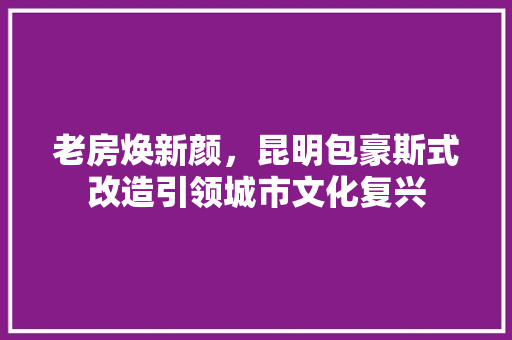 老房焕新颜，昆明包豪斯式改造引领城市文化复兴