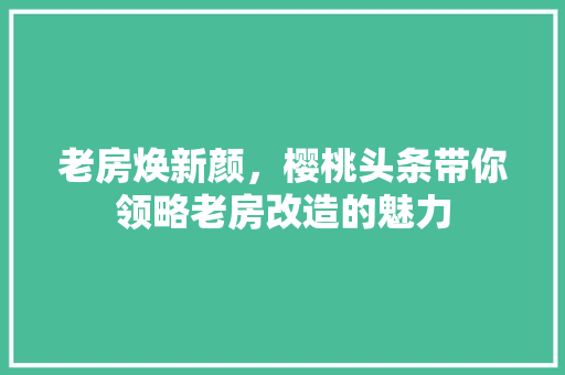 老房焕新颜，樱桃头条带你领略老房改造的魅力