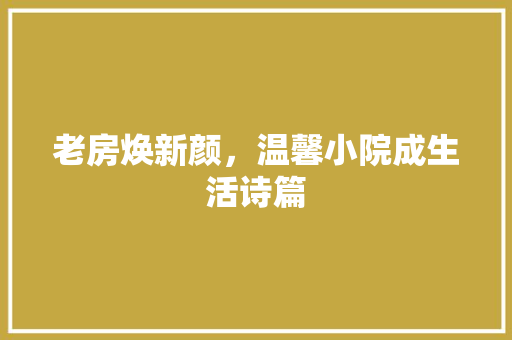 老房焕新颜，温馨小院成生活诗篇