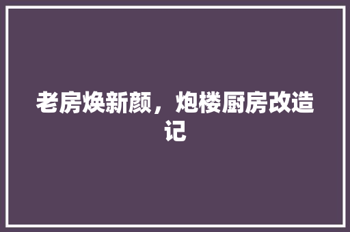 老房焕新颜，炮楼厨房改造记 厨房维修