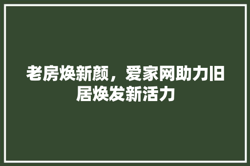 老房焕新颜，爱家网助力旧居焕发新活力
