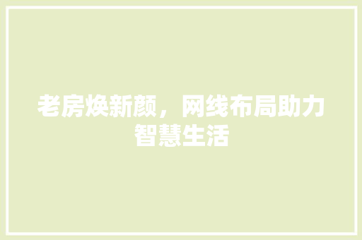 老房焕新颜，网线布局助力智慧生活