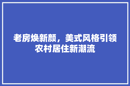 老房焕新颜，美式风格引领农村居住新潮流
