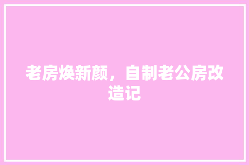 老房焕新颜，自制老公房改造记