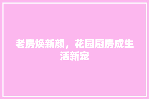 老房焕新颜，花园厨房成生活新宠