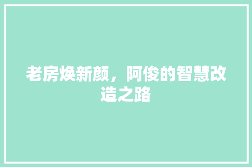 老房焕新颜，阿俊的智慧改造之路 汽车维修