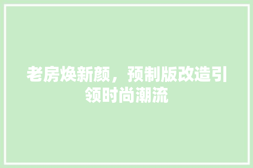 老房焕新颜，预制版改造引领时尚潮流