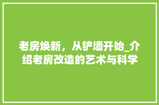 老房焕新，从铲墙开始_介绍老房改造的艺术与科学