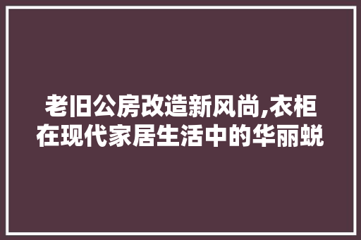 老旧公房改造新风尚,衣柜在现代家居生活中的华丽蜕变