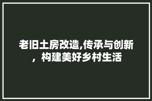 老旧土房改造,传承与创新，构建美好乡村生活