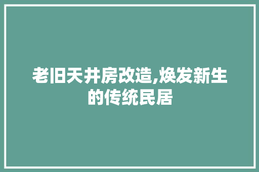老旧天井房改造,焕发新生的传统民居