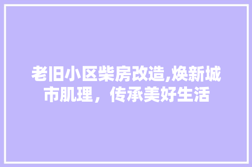 老旧小区柴房改造,焕新城市肌理，传承美好生活
