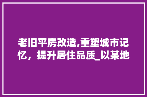 老旧平房改造,重塑城市记忆，提升居住品质_以某地改造图纸为例