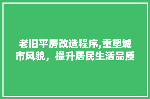 老旧平房改造程序,重塑城市风貌，提升居民生活品质