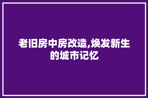 老旧房中房改造,焕发新生的城市记忆 汽车维修