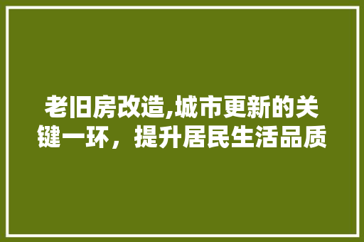 老旧房改造,城市更新的关键一环，提升居民生活品质的坚实保障