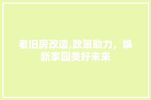 老旧房改造,政策助力，焕新家园美好未来 综合便民