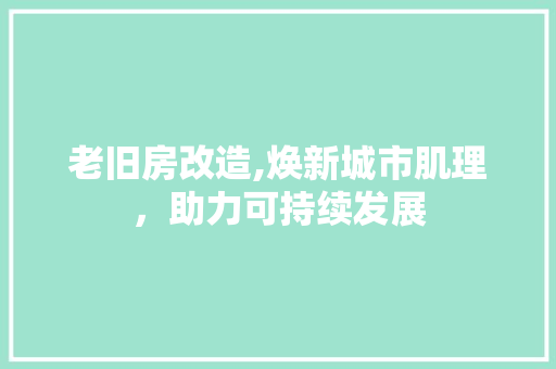 老旧房改造,焕新城市肌理，助力可持续发展 墙体维修