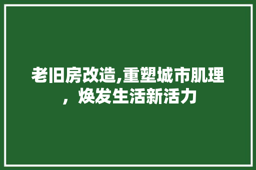 老旧房改造,重塑城市肌理，焕发生活新活力