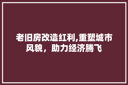 老旧房改造红利,重塑城市风貌，助力经济腾飞