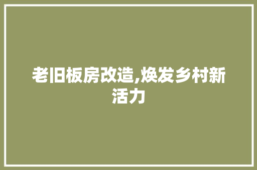 老旧板房改造,焕发乡村新活力