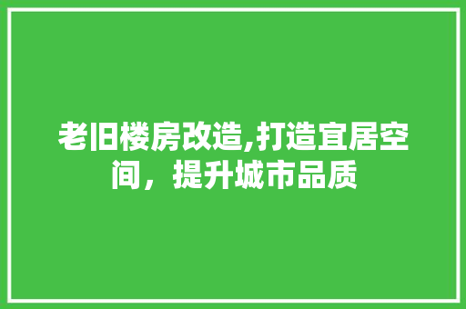 老旧楼房改造,打造宜居空间，提升城市品质 墙体维修