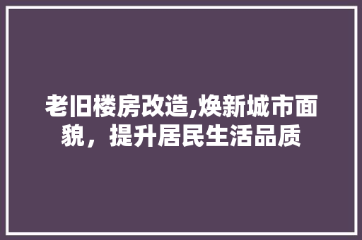 老旧楼房改造,焕新城市面貌，提升居民生活品质 厨房维修