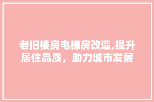 老旧楼房电梯房改造,提升居住品质，助力城市发展