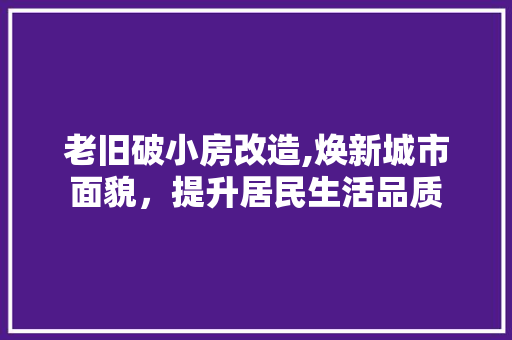 老旧破小房改造,焕新城市面貌，提升居民生活品质