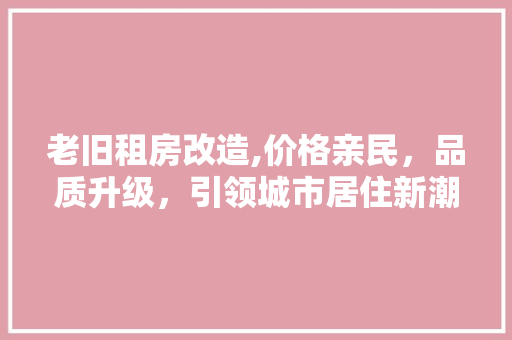 老旧租房改造,价格亲民，品质升级，引领城市居住新潮流 厨房维修