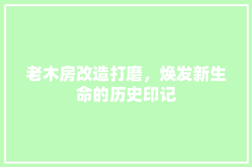 老木房改造打磨，焕发新生命的历史印记
