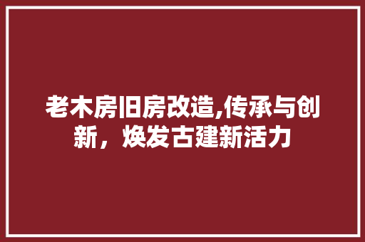 老木房旧房改造,传承与创新，焕发古建新活力 厨房维修