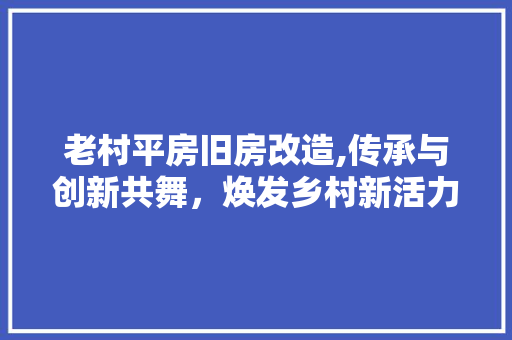 老村平房旧房改造,传承与创新共舞，焕发乡村新活力
