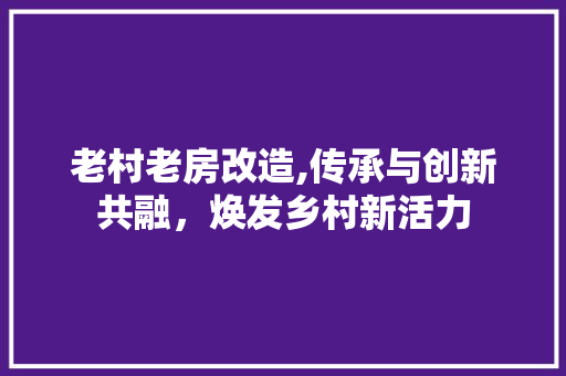 老村老房改造,传承与创新共融，焕发乡村新活力