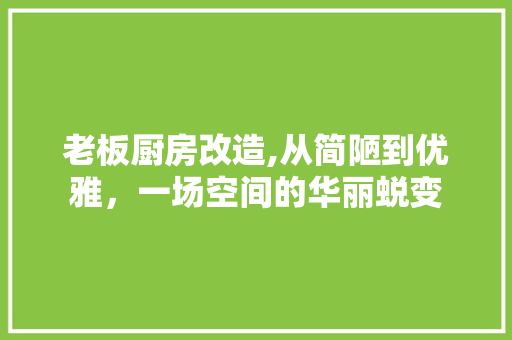 老板厨房改造,从简陋到优雅，一场空间的华丽蜕变