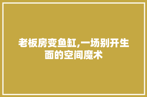 老板房变鱼缸,一场别开生面的空间魔术