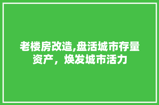 老楼房改造,盘活城市存量资产，焕发城市活力