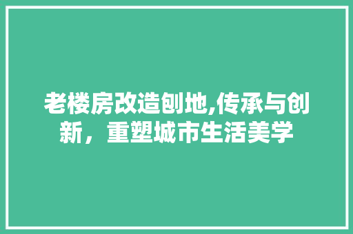 老楼房改造刨地,传承与创新，重塑城市生活美学
