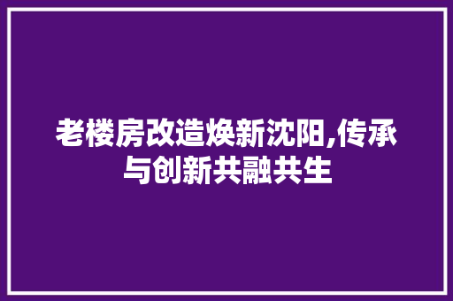 老楼房改造焕新沈阳,传承与创新共融共生