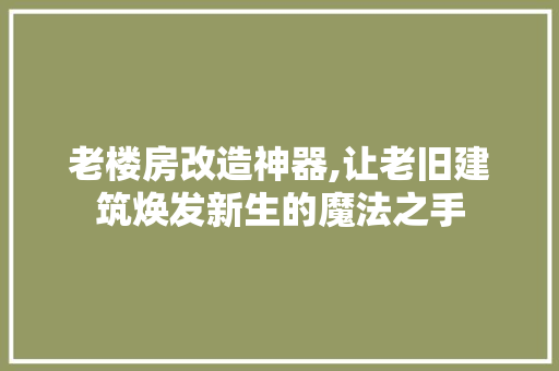 老楼房改造神器,让老旧建筑焕发新生的魔法之手